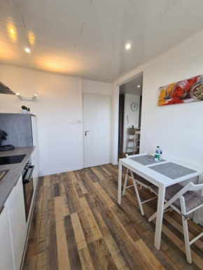 LE CITADIN appartement cosy quartier Pépinière